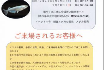 ブログ 大型小型レンズ 難形状レンズの製造を行う比企オプトグループ